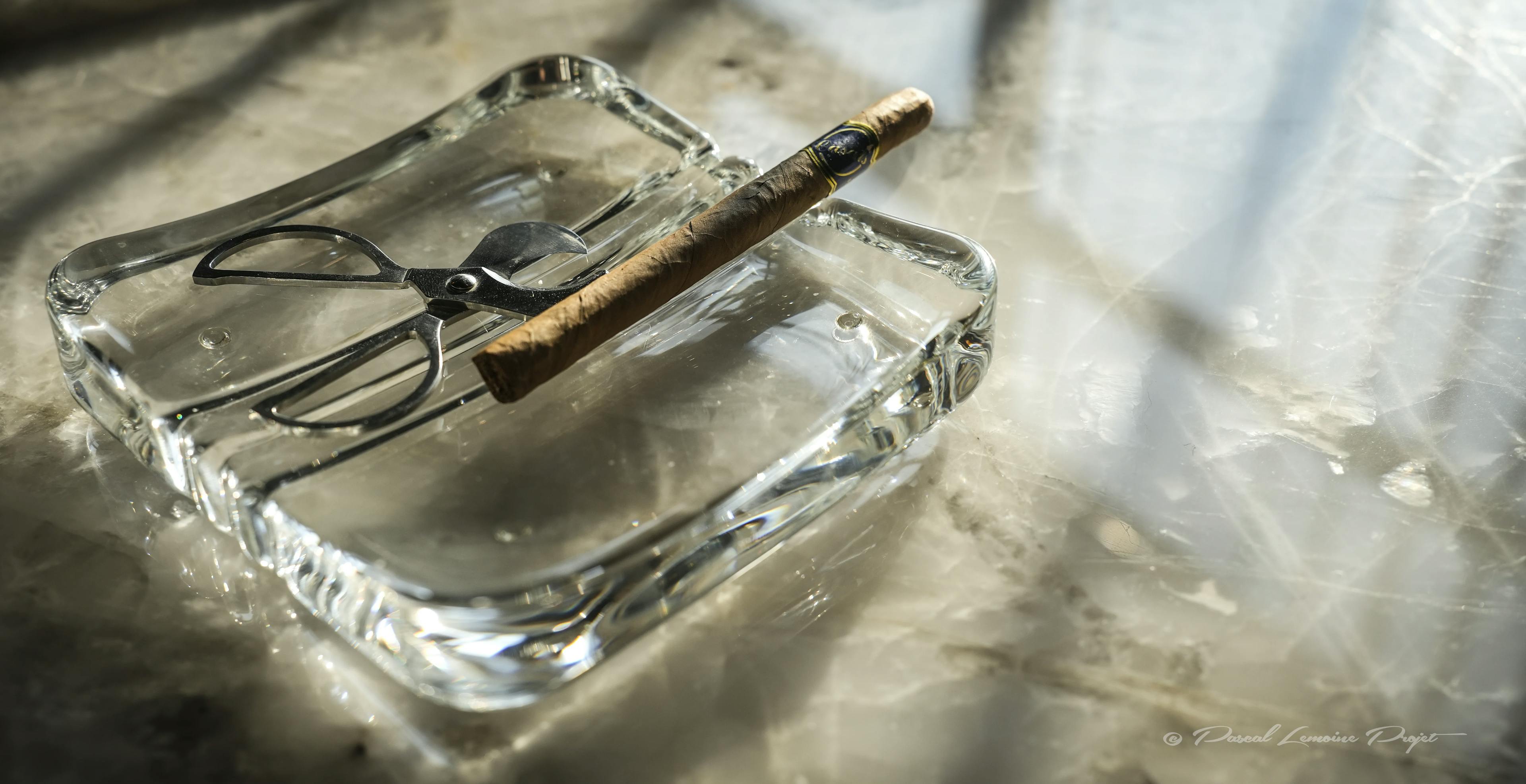 Pose et découpe cigare - Casa negra