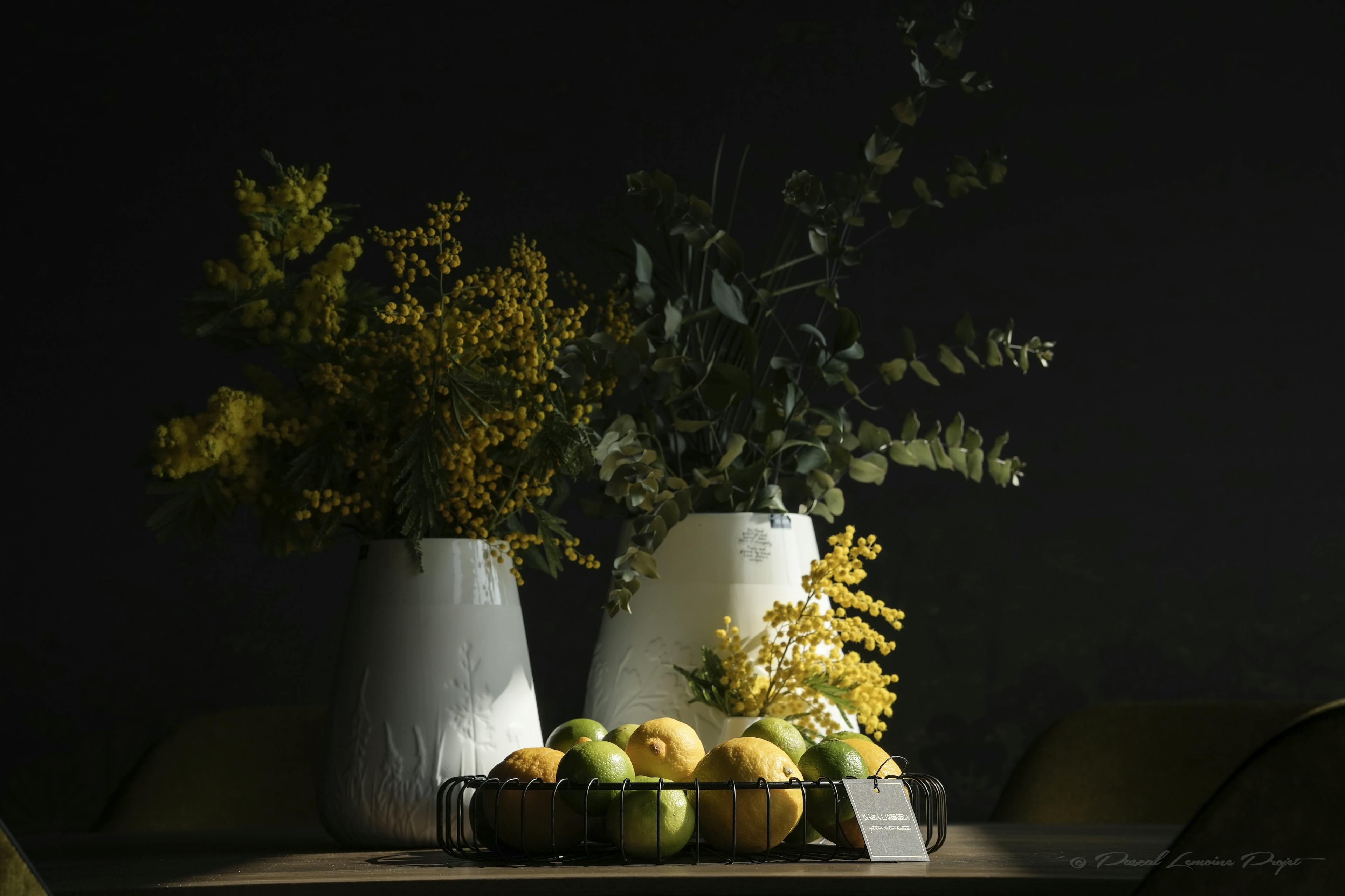 Vases décoratif - Casa negra