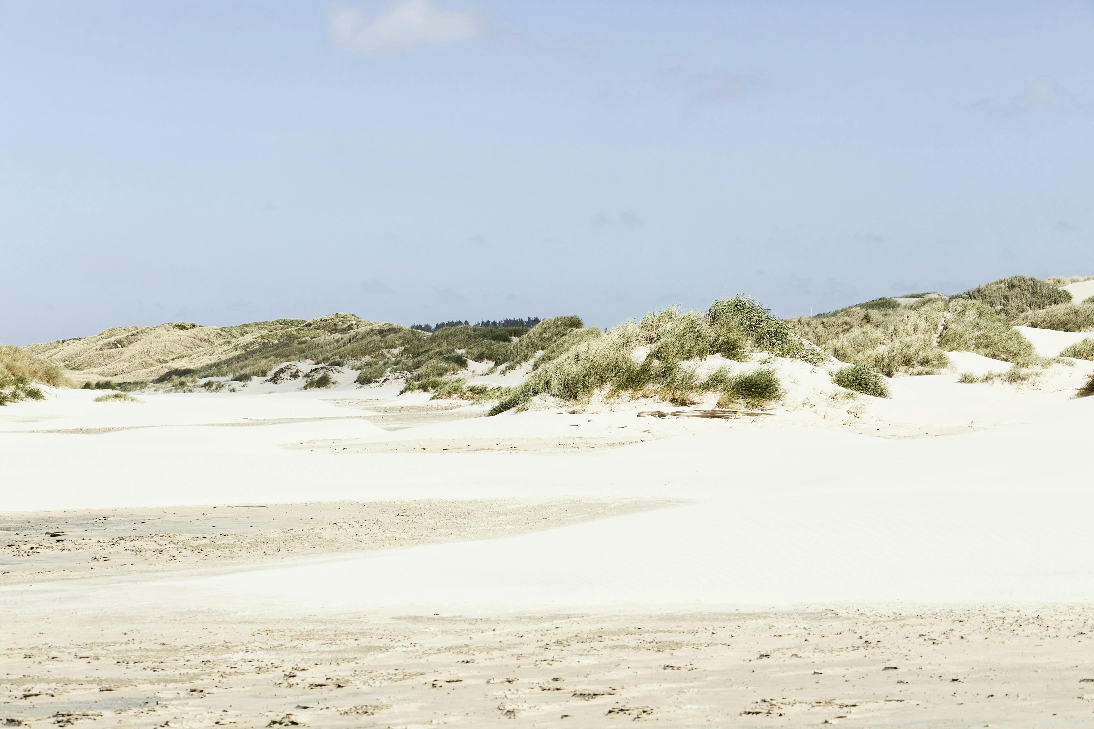 Onlineshop - CASAMODA