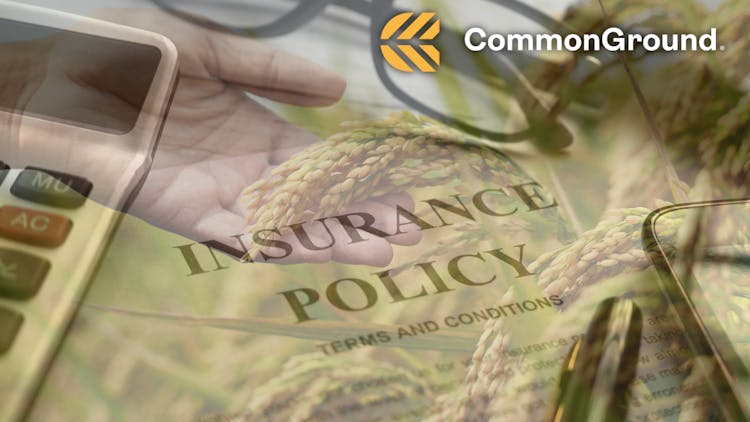 A farmer's hand holding wheat with text "Insurance Policy"