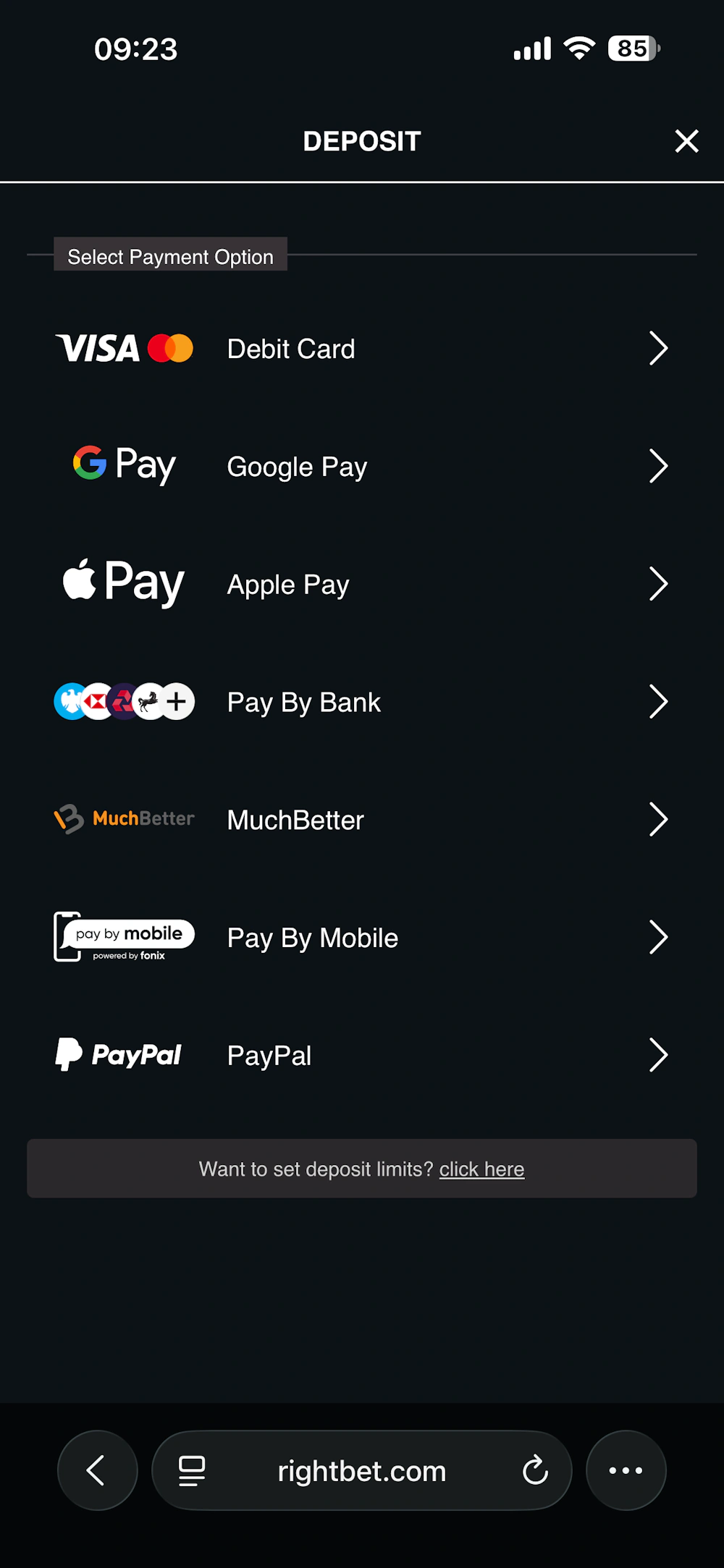 rightbet-payment-methods