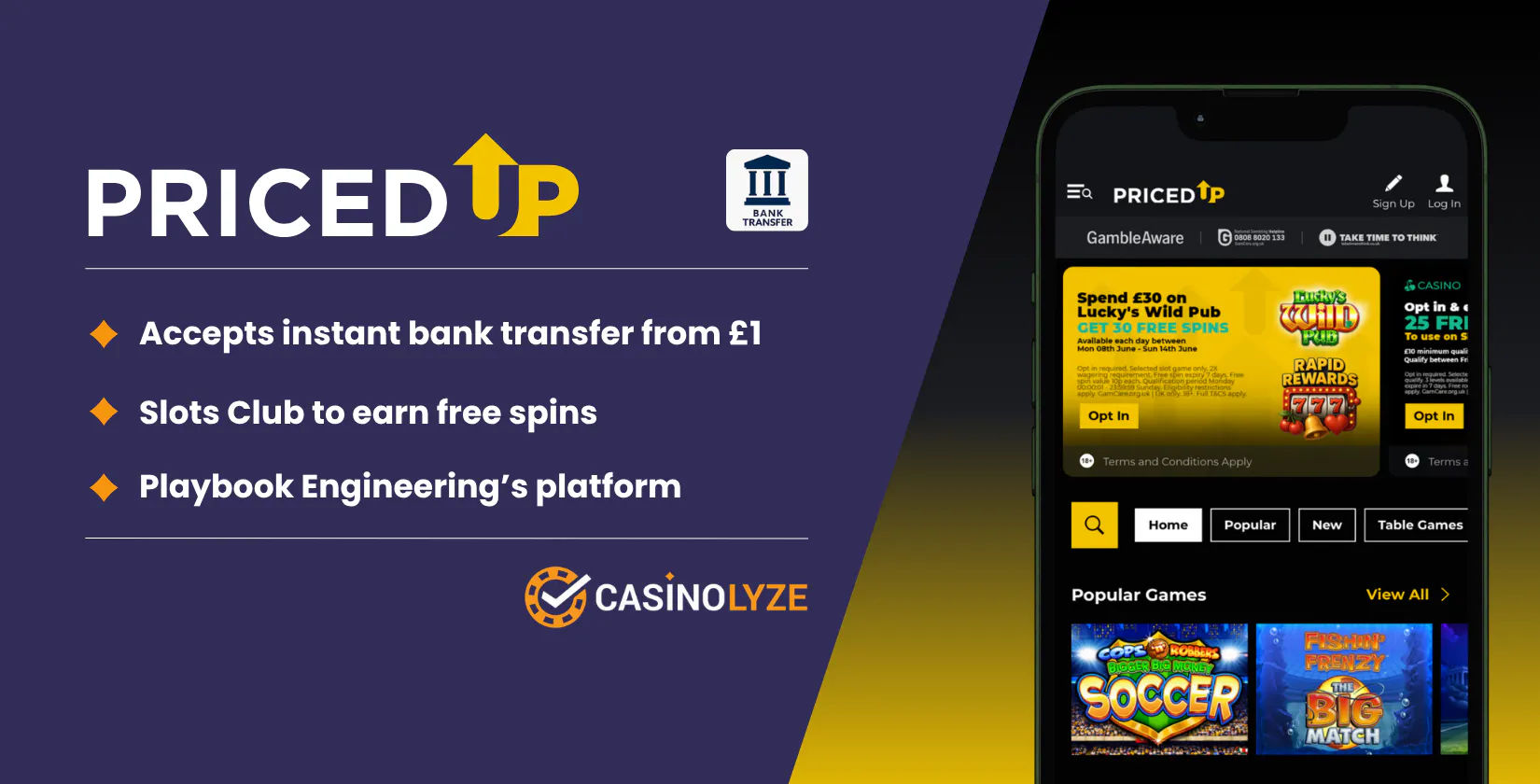 pricedup-bank-transfer
