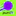 puntit icon