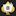 Blackjack City icon