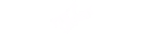 mr-green-logo