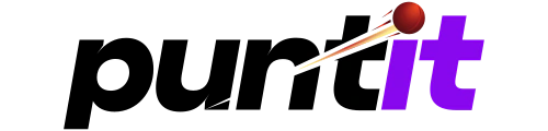 puntit-logo