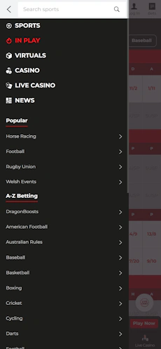 dragonbet-app-4