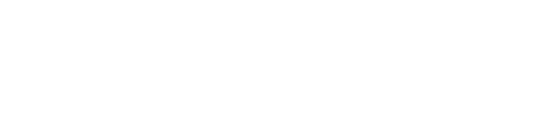 skillonnet-logo