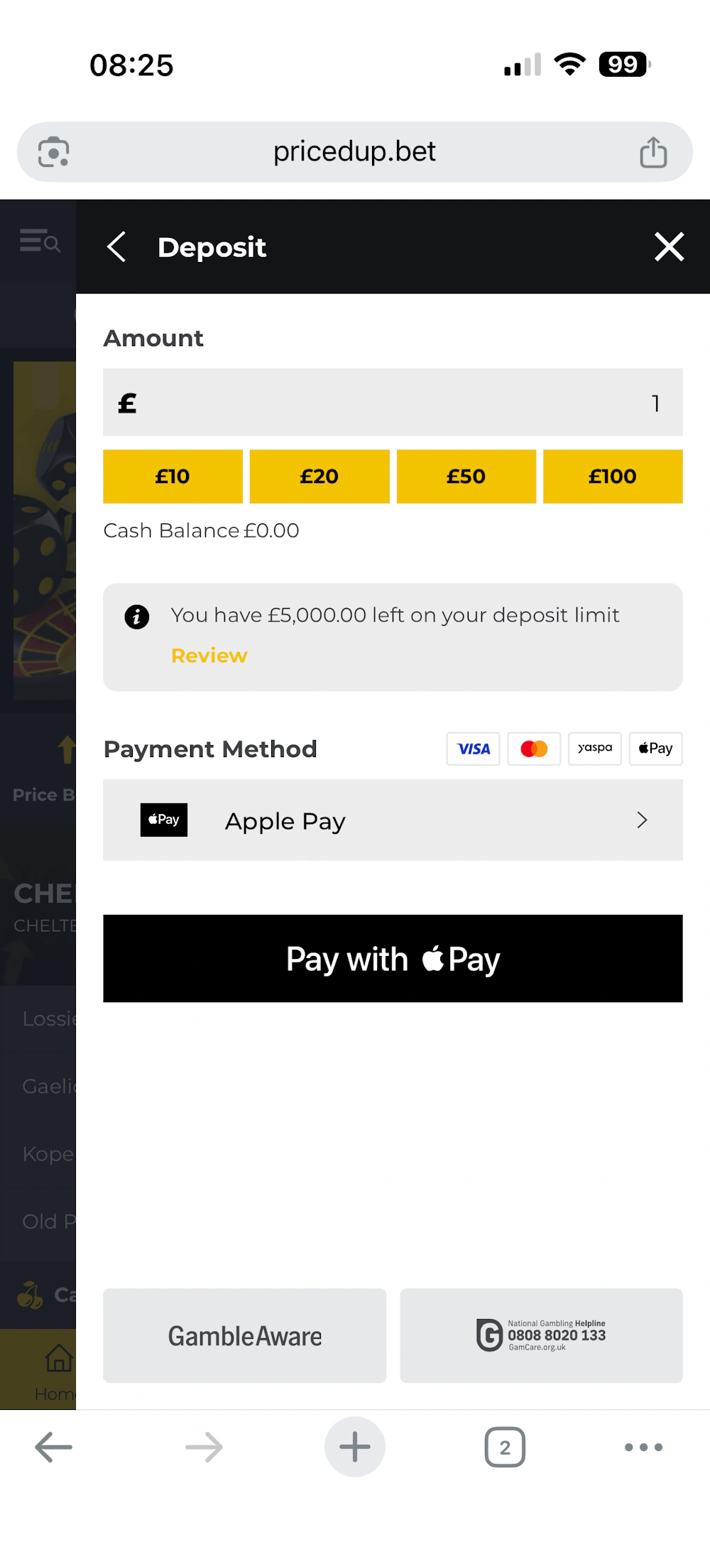 pricedup-deposit-methods
