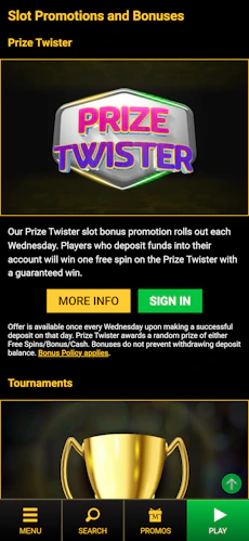 mega-casino-app-5