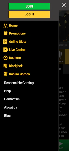 mega-casino-app-4