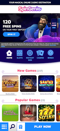 spingenie-app-1