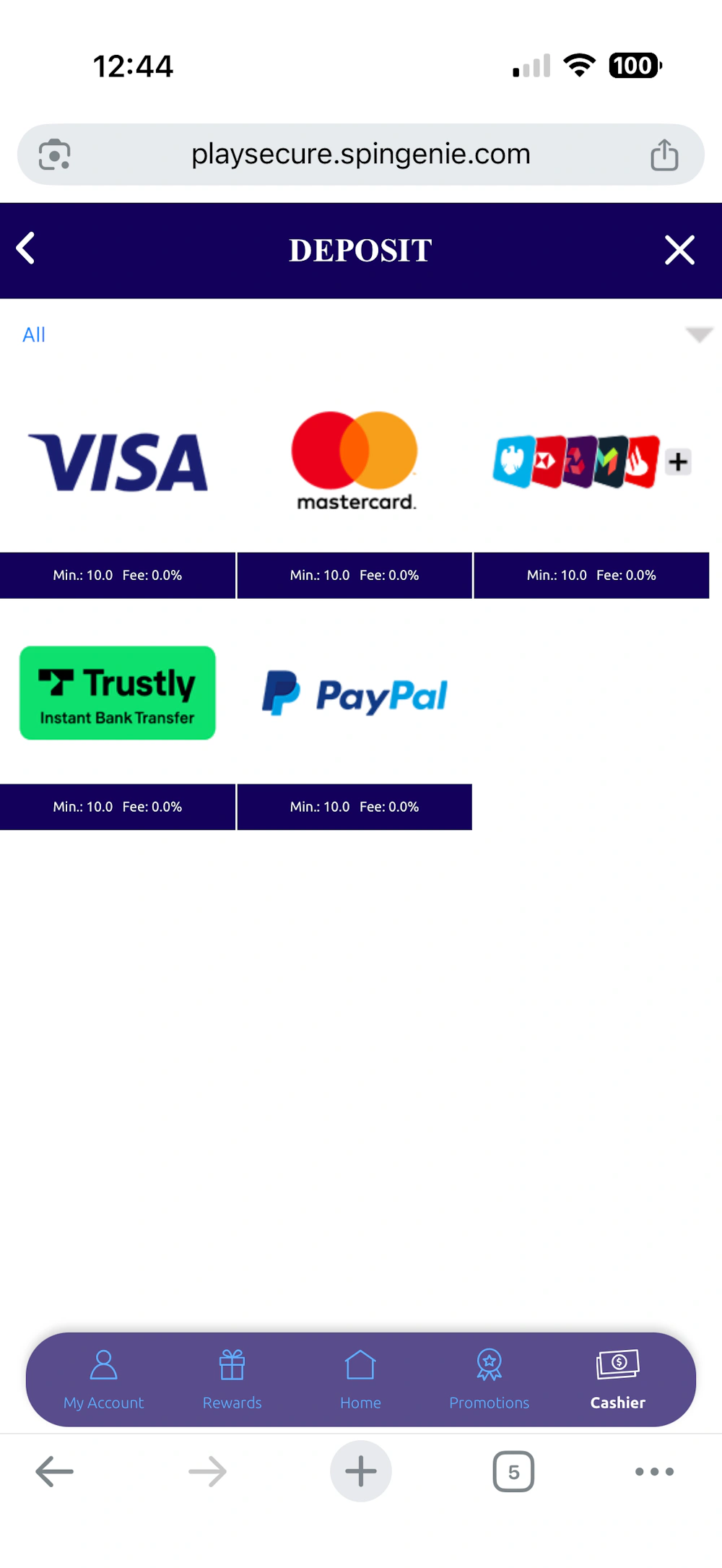 spingenie-payment