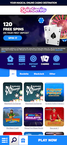 spingenie-app-2
