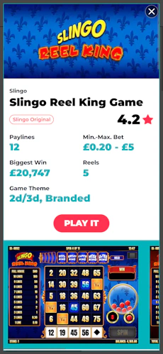 slingo-app-4
