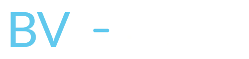 bv-group-logo