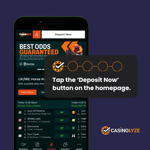 Finding the deposit button at Tigerbet