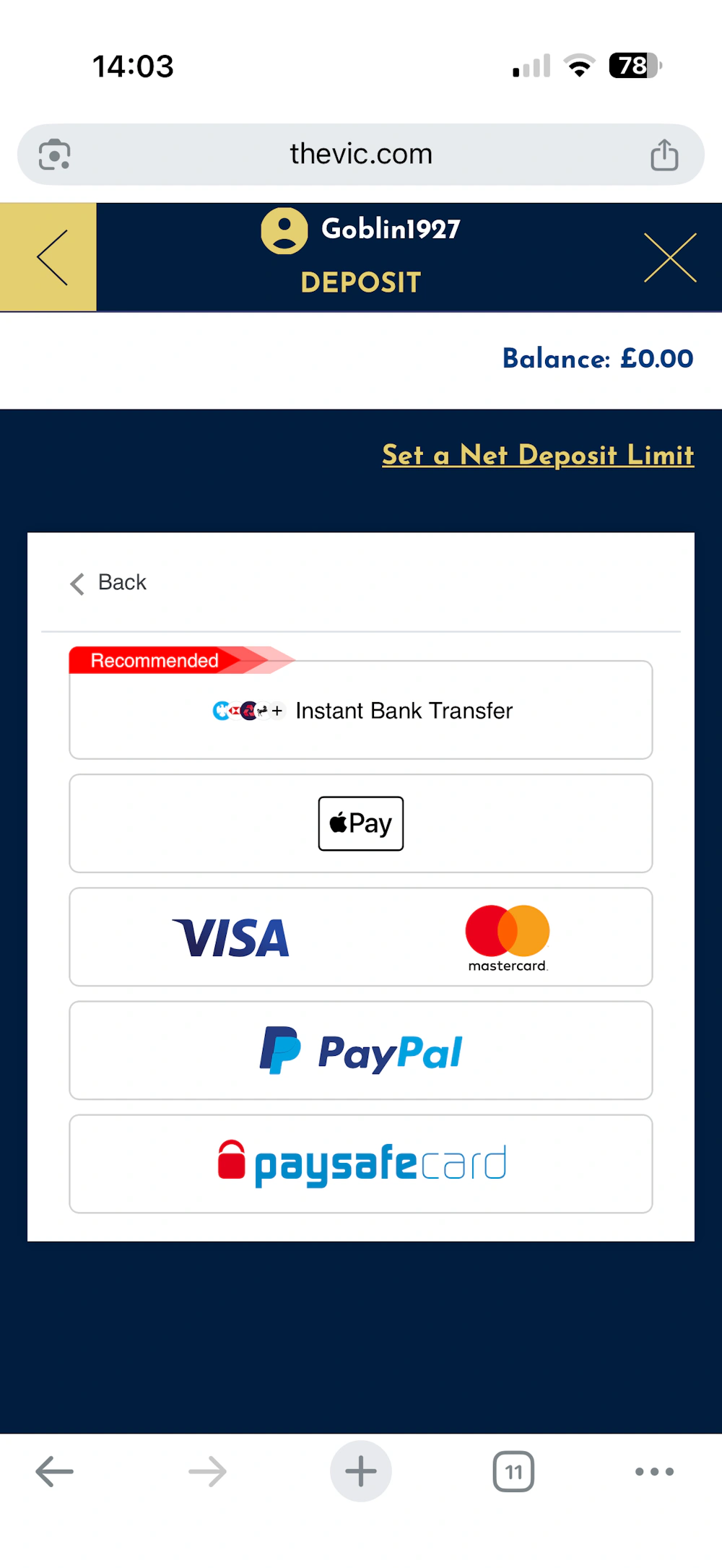 thevic-payment