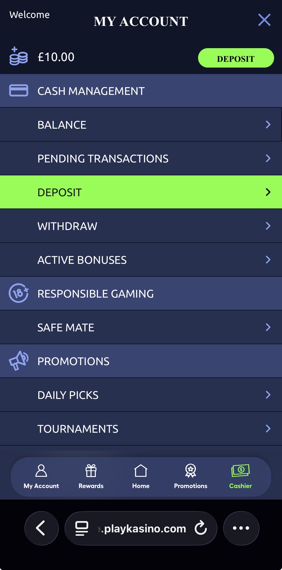 Play Kasino account preview