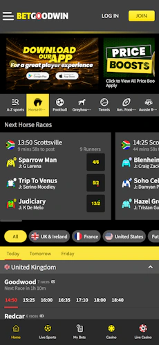 betgoodwin-app-4