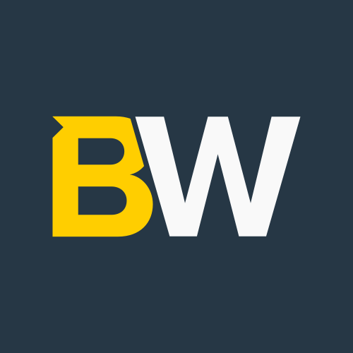 betwright-icon