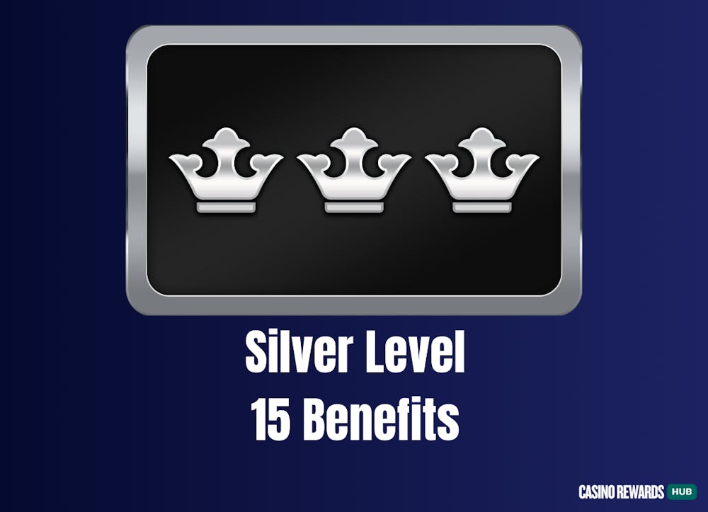 Silver Level