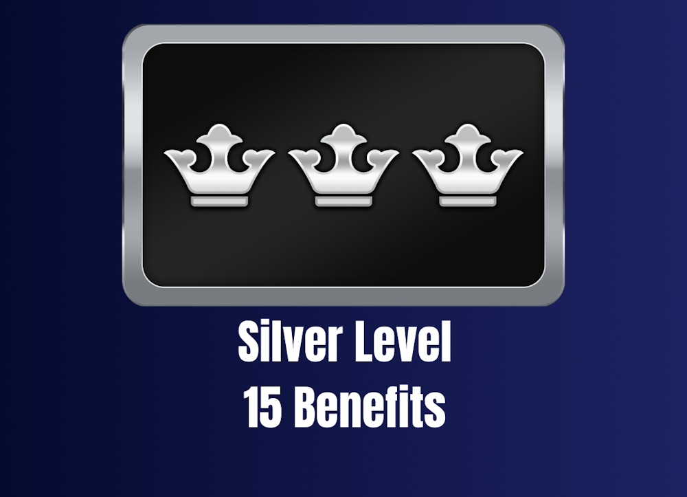 Silver Level