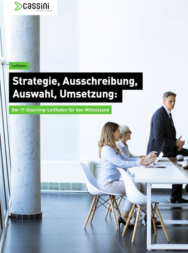 Leitfaden It Sourcing Cover