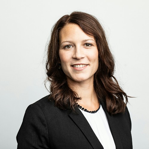 Cynthia Kapper, Cassini Consulting