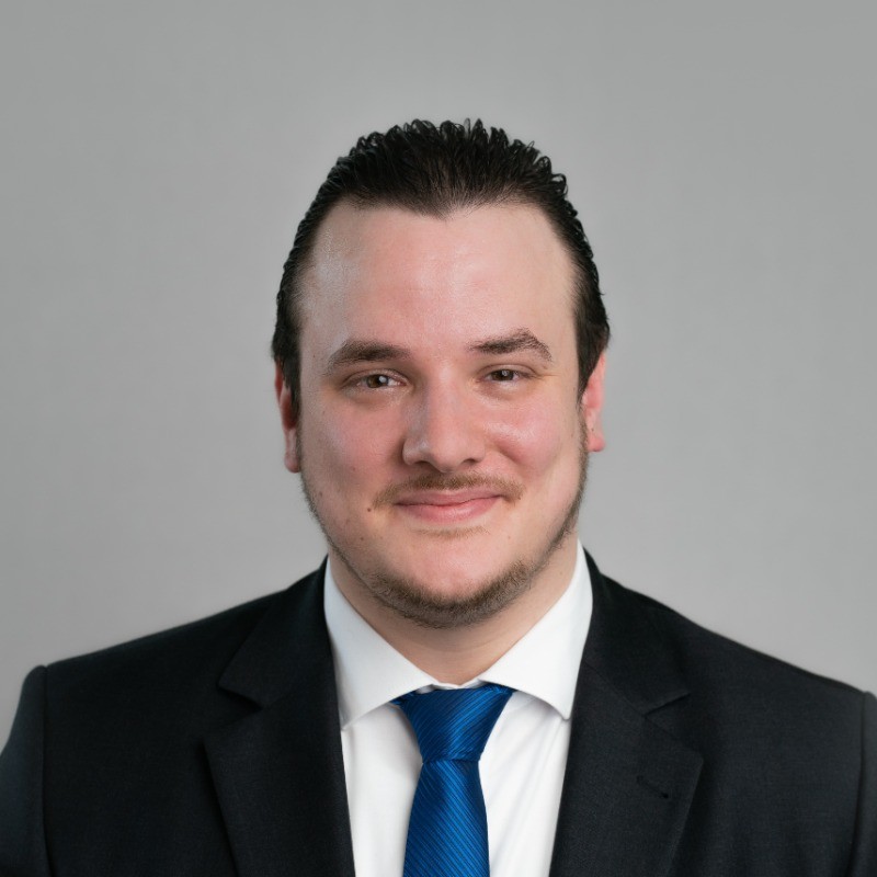 Constantin Heidenbluth, Cassini Consulting