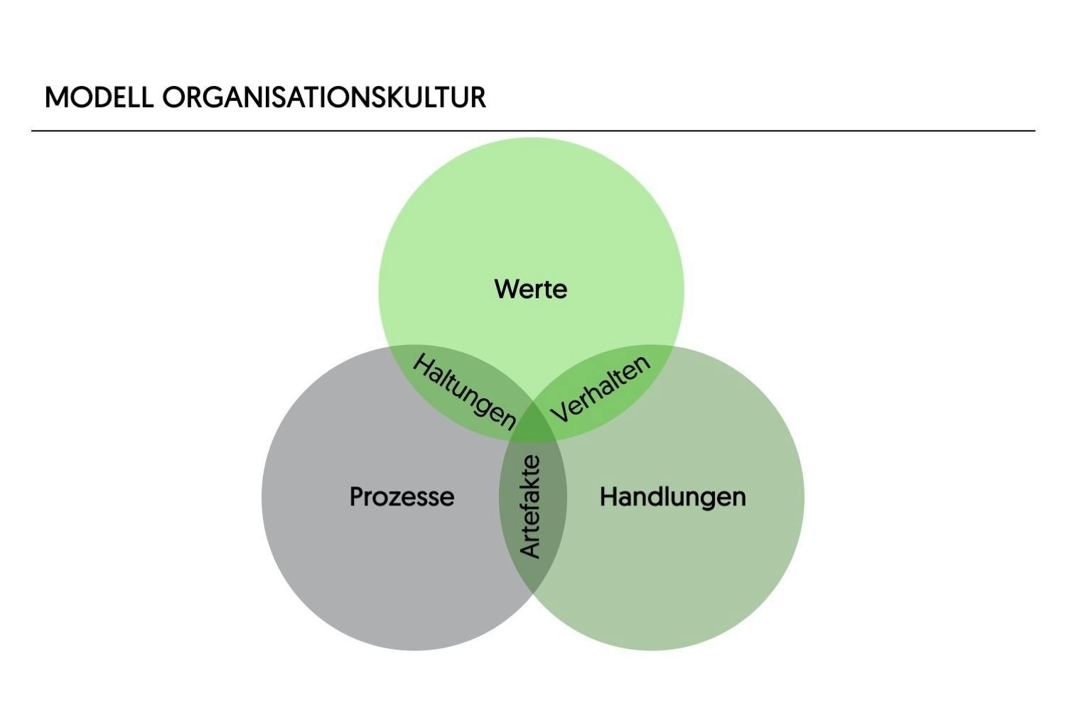 Modell Organisationskultur