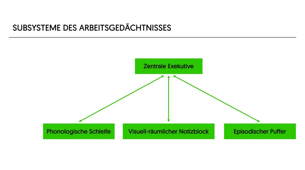 Aufbau Arbeitsgedächtnis