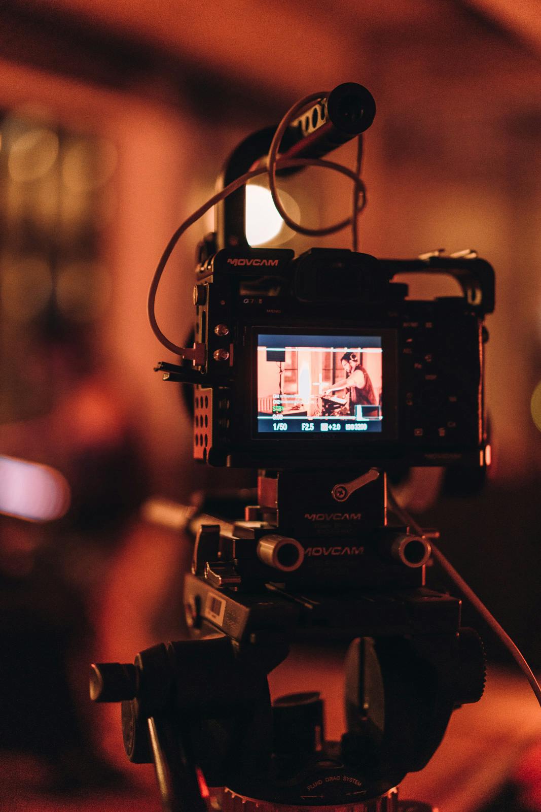 Signals Festival 2020 at Catalyst Berlin | Photo by Dico Baskoro