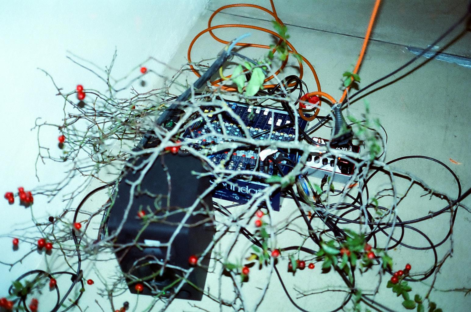 Signals Festival 2020 at Catalyst Berlin | Photo by Frankie Casillo
