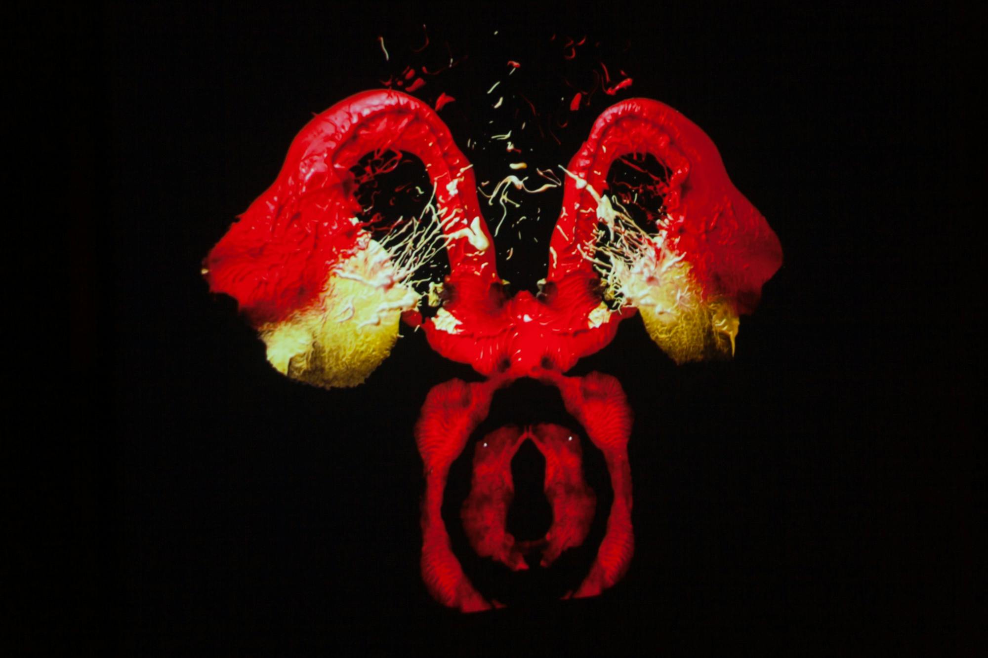 Signals Festival 2021 by Ian Margio