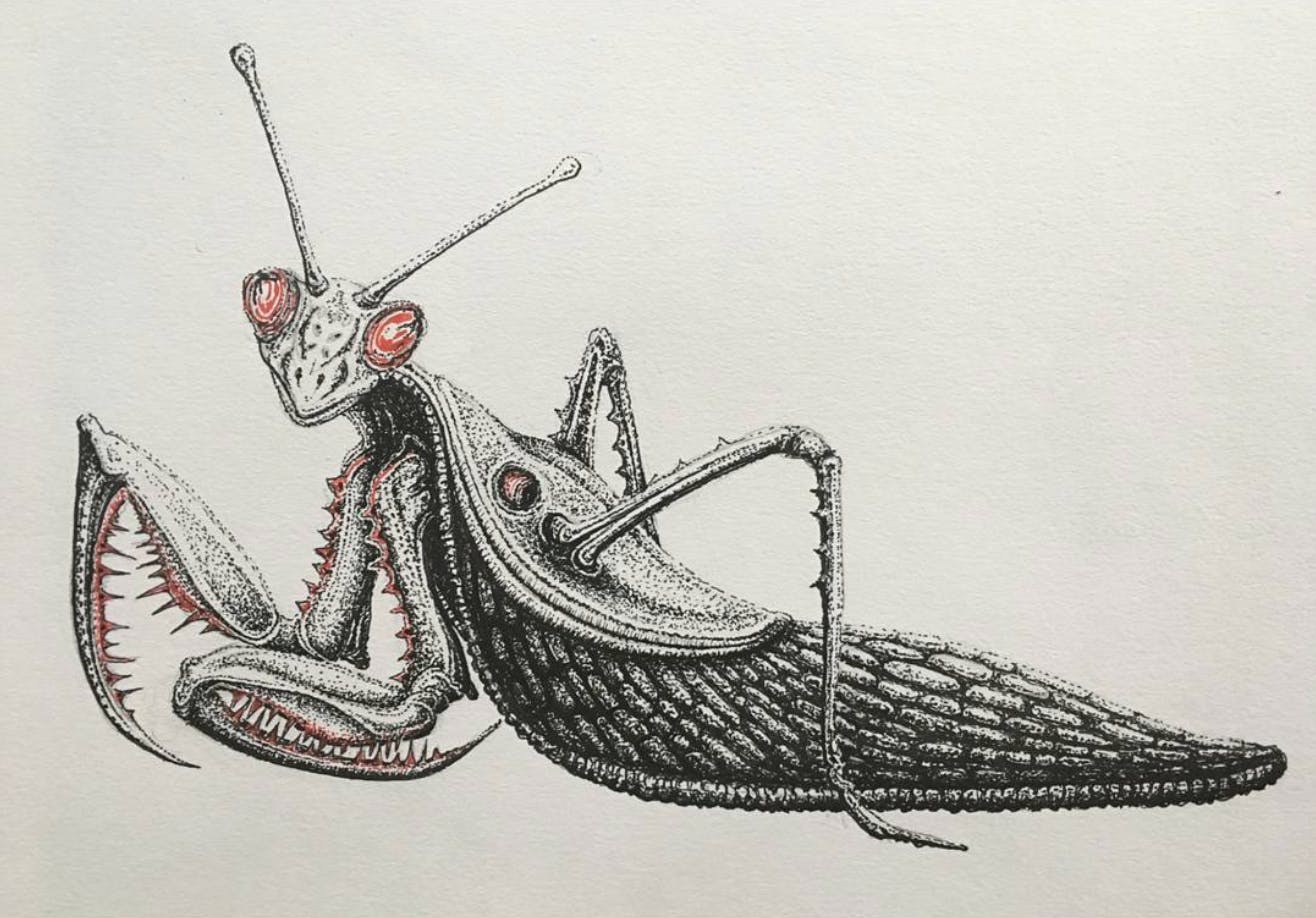 Pencil drawings by film director and practical FX sensation Craig Murray | Guest at Catalyst Berlin NoBerlinale festival