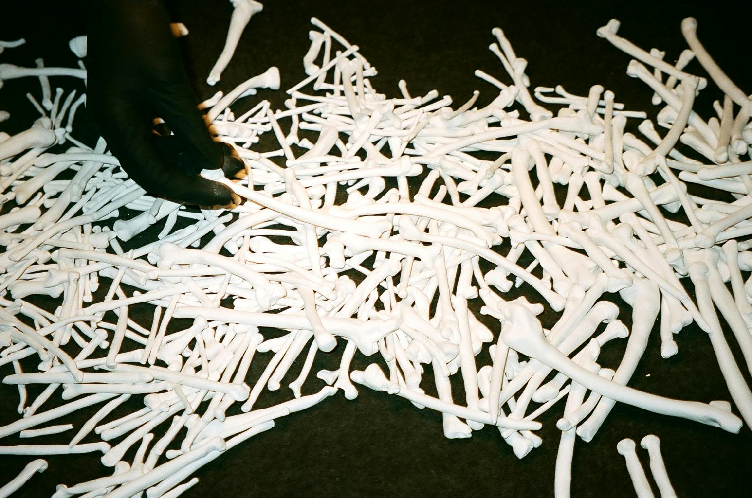 d’os et de sorts (of bones and spells) installation | Signals Festival 2020 at Catalyst Berlin | Photo by Frankie Casillo