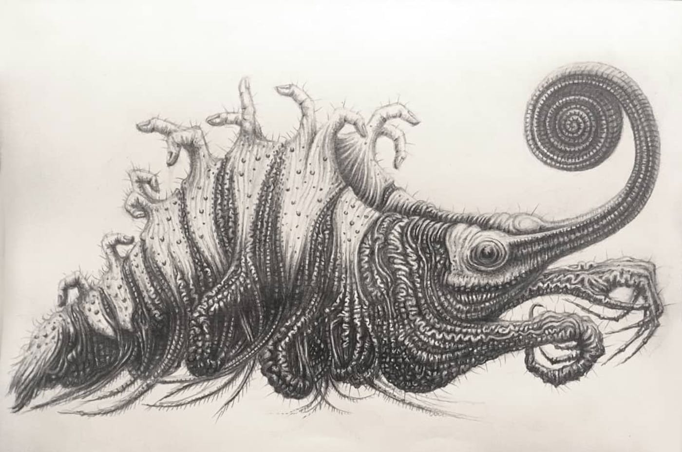 Pencil drawings by film director and practical FX sensation Craig Murray | Guest at Catalyst Berlin NoBerlinale festival