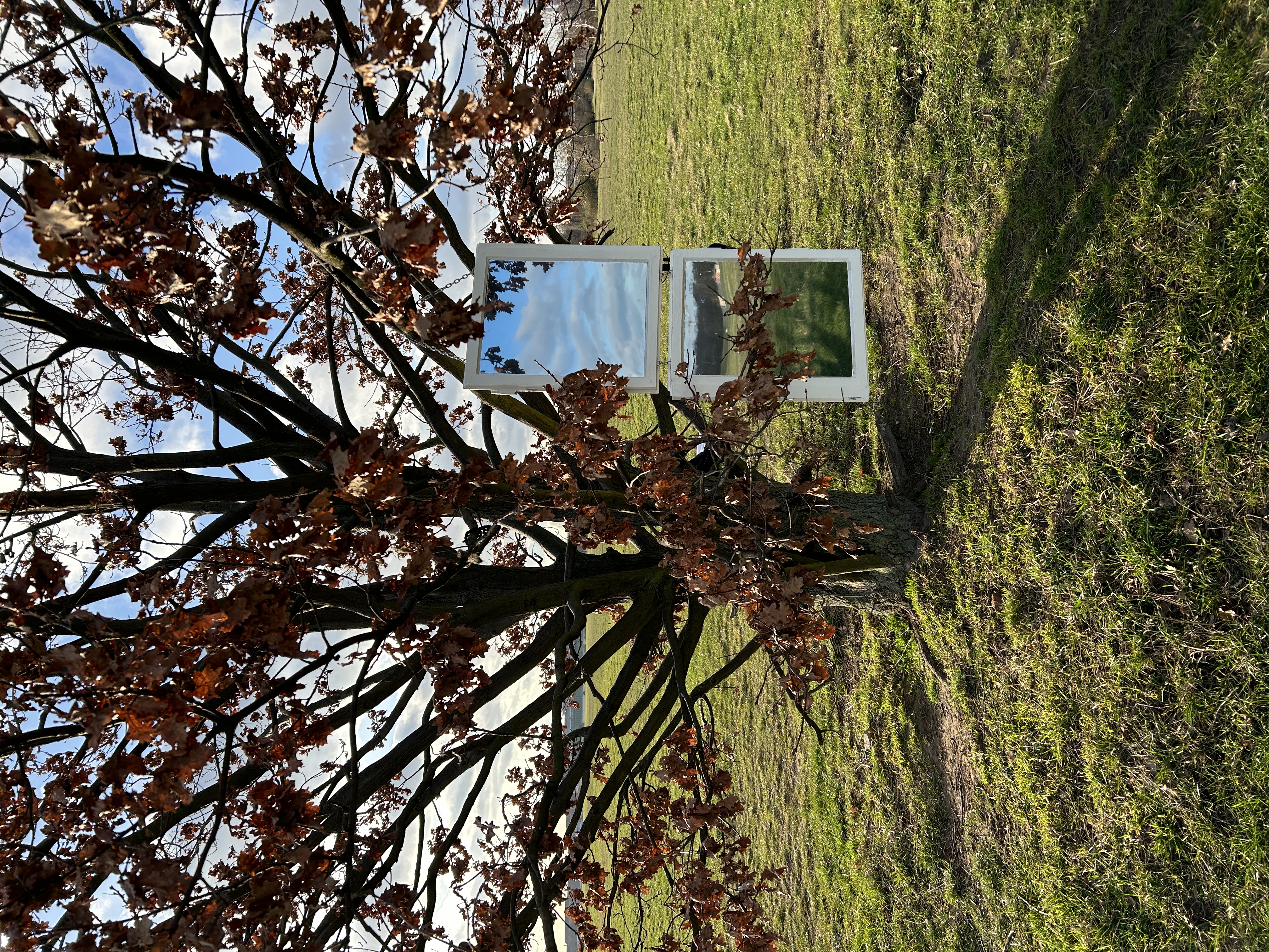 Yuxin Mei, MA Symposium 2024