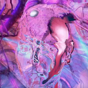 Chen Wang, Cyber Maze