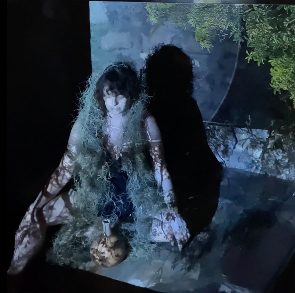 Dárida Rodrigues, Dream Forum