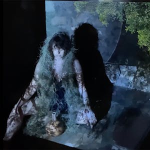 Dárida Rodrigues, Dream Forum