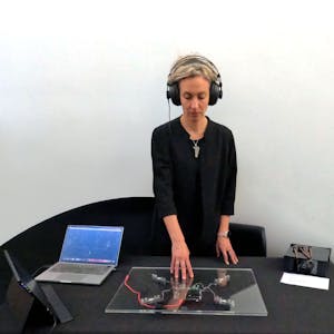 Federica Ciotti, Sonic Maze