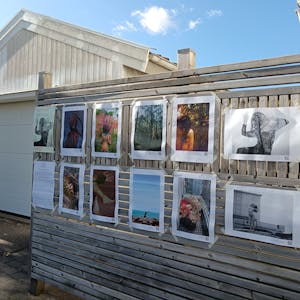 Anita Araujo, de_colonialanguage collective, Fence Choreographies