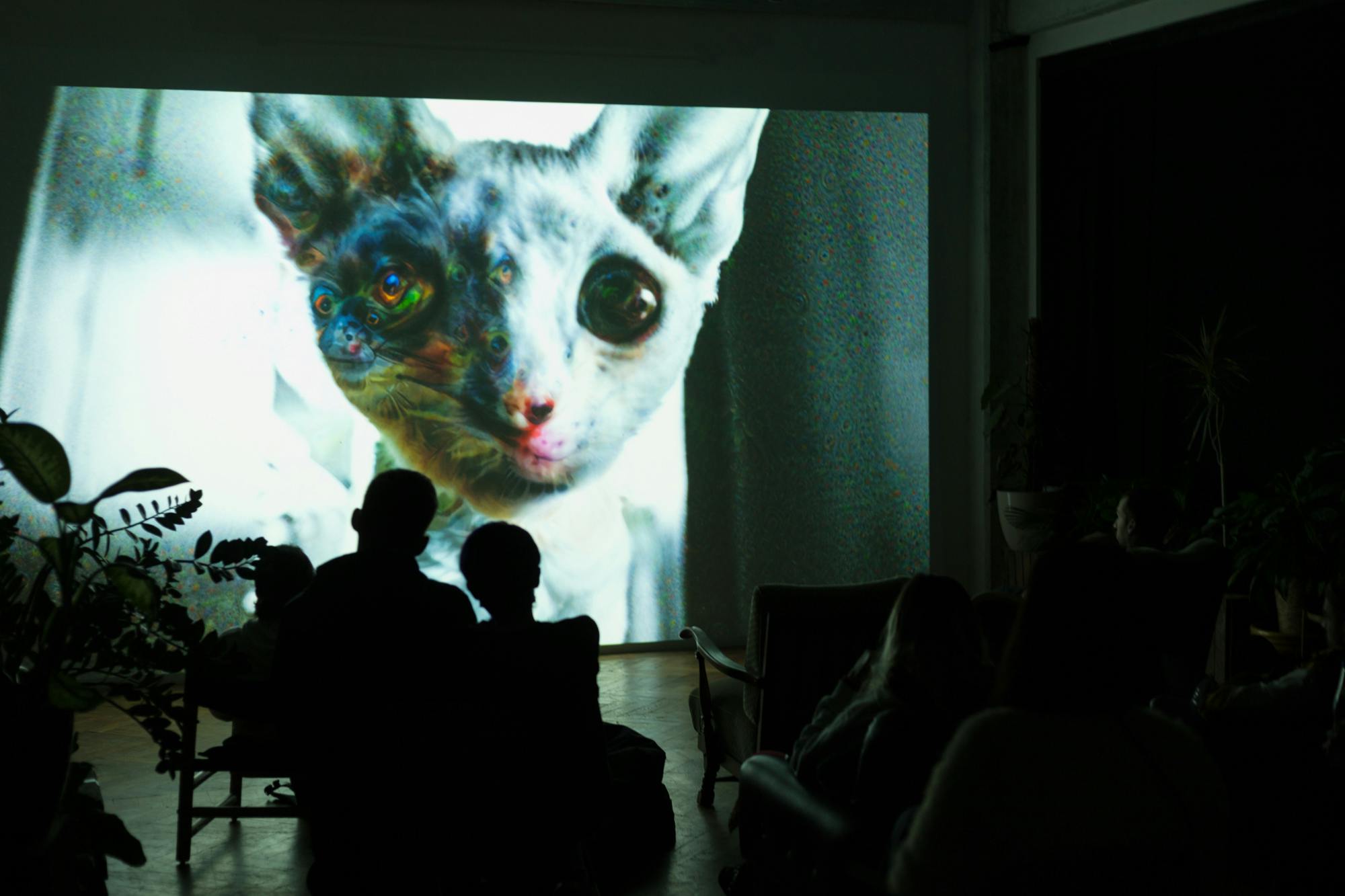 Signals Festival 2021 by Ian Margio