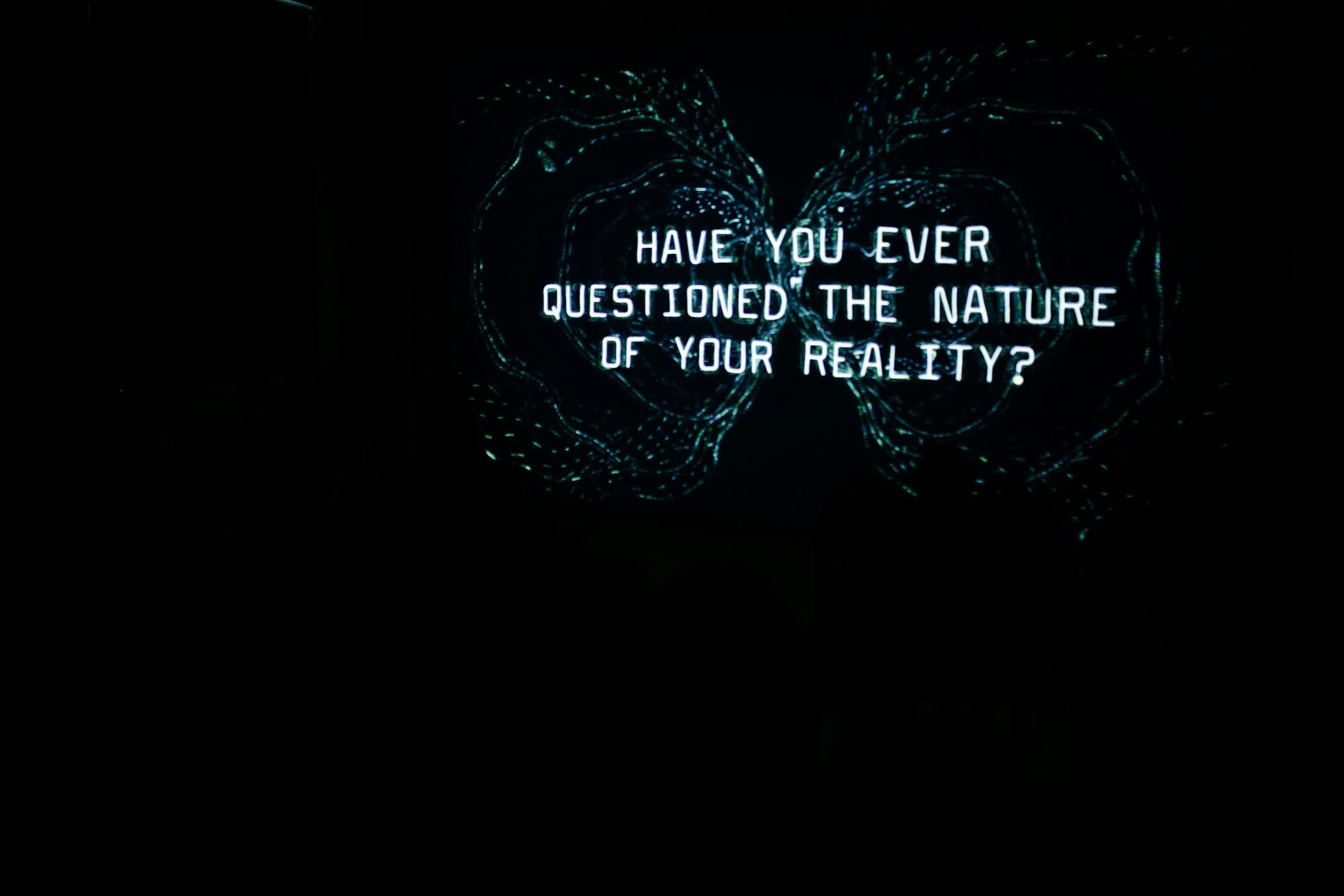 Signals Festival 2021 by Rita Couto