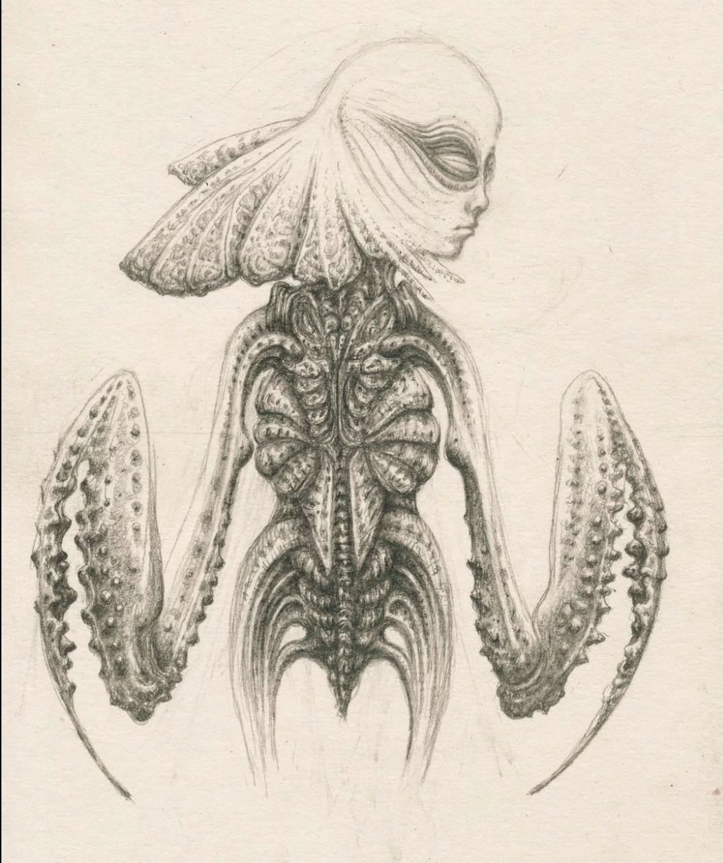 Pencil drawings by film director and practical FX sensation Craig Murray | Guest at Catalyst Berlin NoBerlinale festival