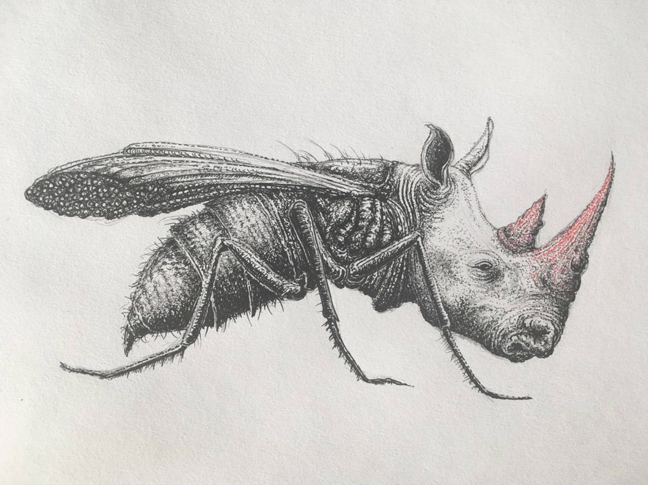 Pencil drawings by film director and practical FX sensation Craig Murray | Guest at Catalyst Berlin NoBerlinale festival