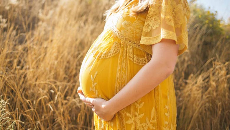 妊娠中に必要な栄養素と消費カロリーの解説 Sharedine