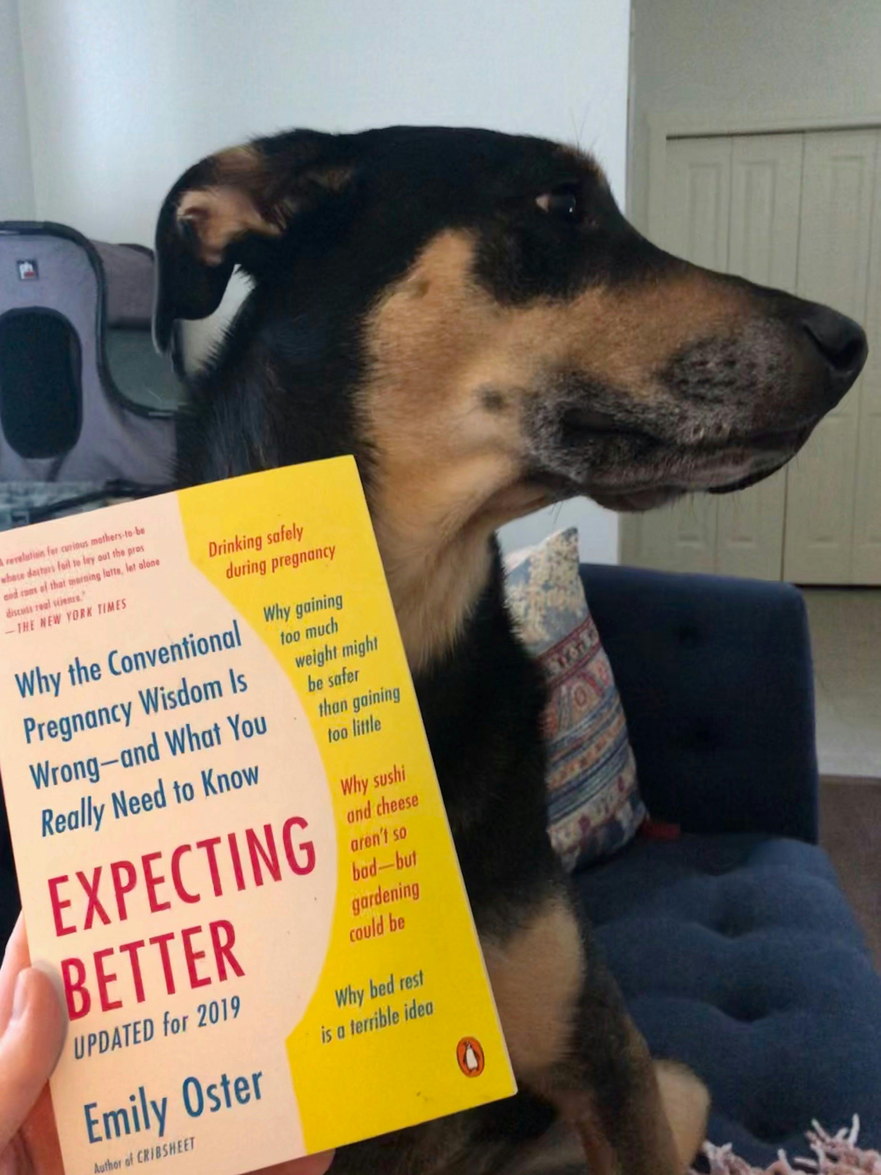 A book titled 'Expecting Better'